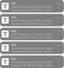 João Pedro Image 02