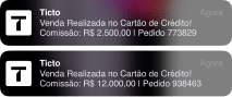João Pedro Image 02